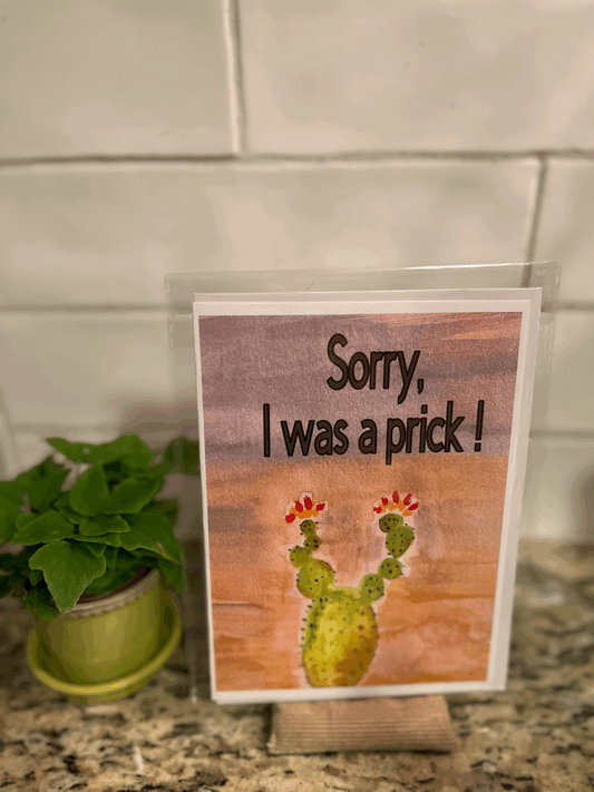 Sorry For Being A Prick!